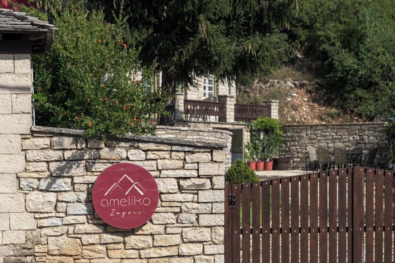 Hotel Ameliko Zagori Áno Pediná Zewnętrze zdjęcie